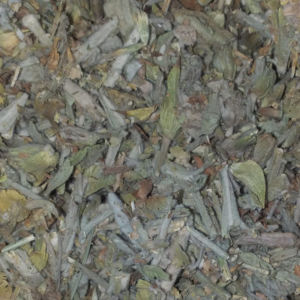 Τσάι του Bουνού