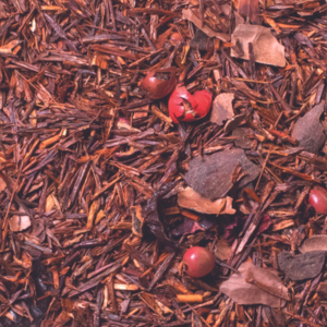 Τσάι Rooitea - Ινδική Σοκολάτα
