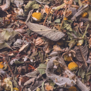 Τσάι Βοτάνων - Βότανα του Ολύμπου